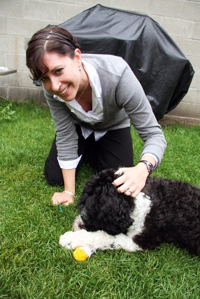 Cooper On Holiday With Hounds On Holiday